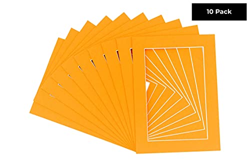 Pack of TEN 11x14 Mats Bevel Cut for 9x12 Photos (10 Count)