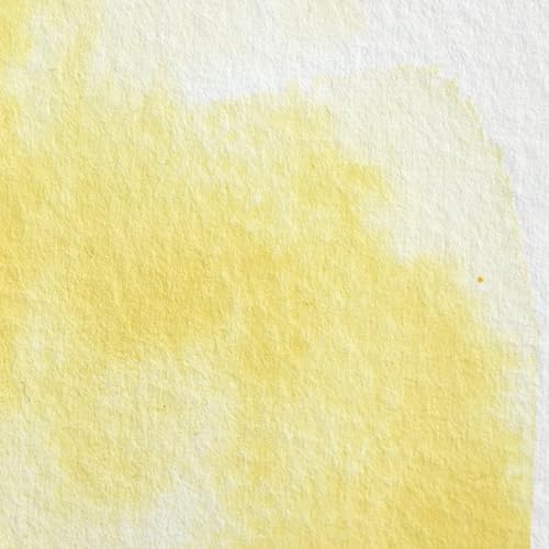 Professional Watercolor