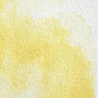 Professional Watercolor