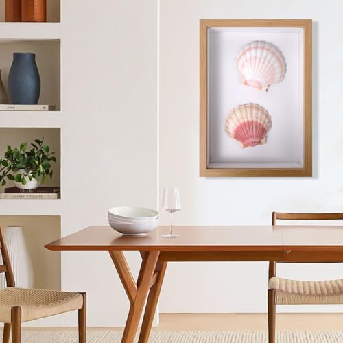8 PCS 4 4.5 Inch Natural White Scallop Shells Sea Shells for DIY Craft Home Décor