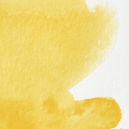 Professional Watercolor