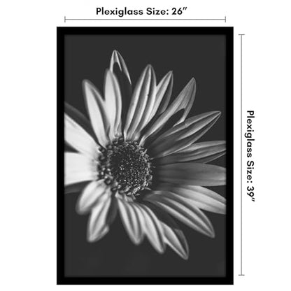26x39 Poster Frame