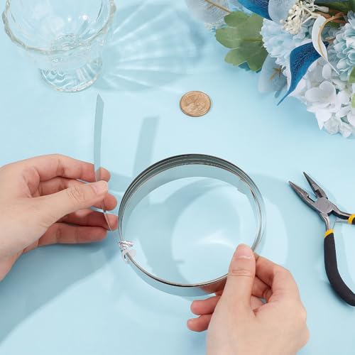 9.84 Feet 32Gauge Flat Nickel Silver Wire