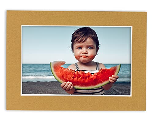 Pack of TEN 11x14 Mats Bevel Cut for 9x12 Photos (10 Count)