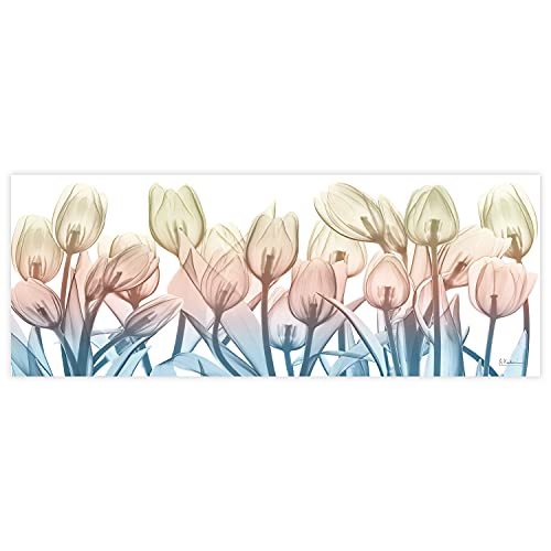 Frameless Free Floating Tempered Glass Panel Graphic Wall Art Ready to Hang