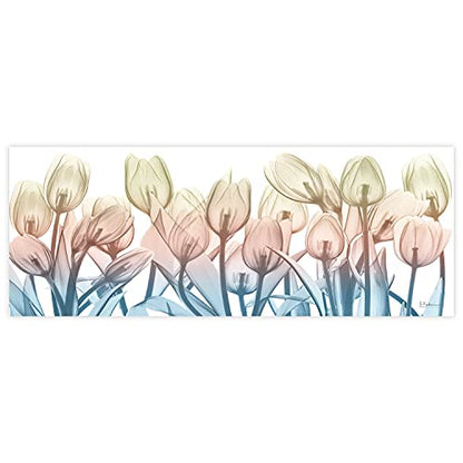 Frameless Free Floating Tempered Glass Panel Graphic Wall Art Ready to Hang
