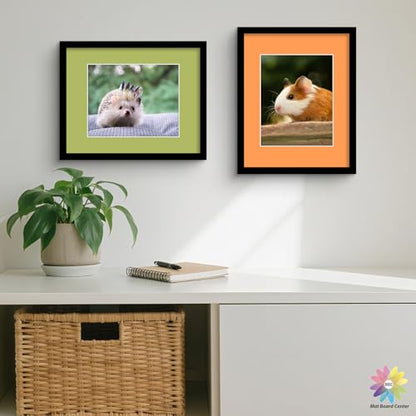 Mat Board Center 50 Pack 11x14 Picture Mat for 8x10 Photo Mixed Color