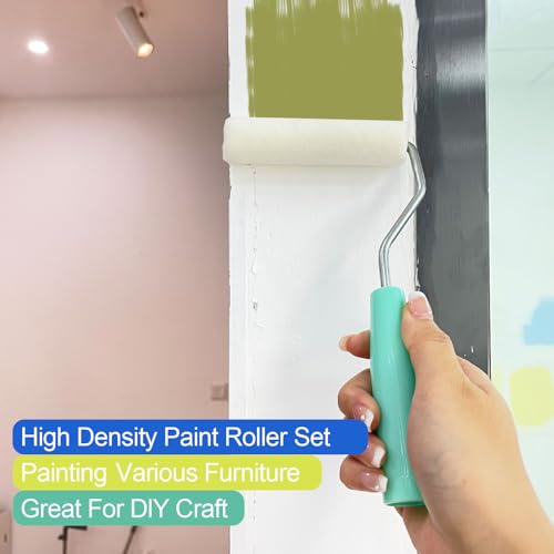 11 Pack Paint Roller Kit (11 Count)