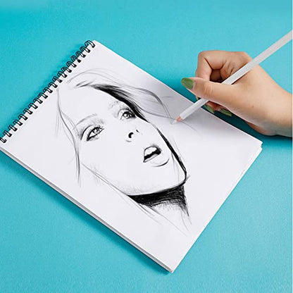 6PCS Artist Eraser Pencils Wooden Sketch Highlight Painting Erasing Pen Student Limner (6 Count)