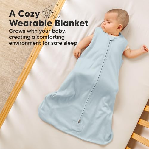 2 Pack Baby Sleep Sacks (2 Count)