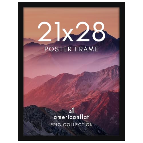 21x28 Poster Frame