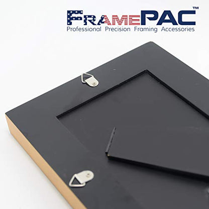 100 Pack Picture Hangers with Screws (100 Count)