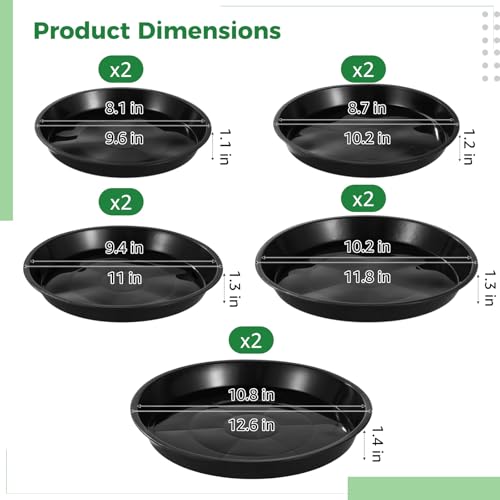 10Pcs Round Stone Molds (10 Count)