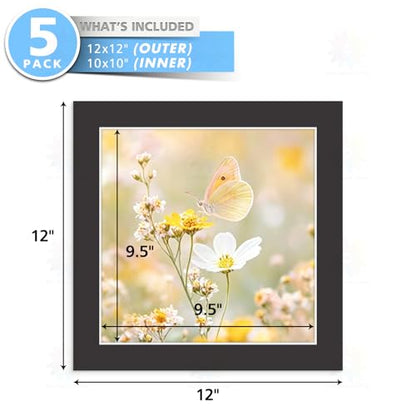 Mat Board Center 5 Pack Acid (5 Count)
