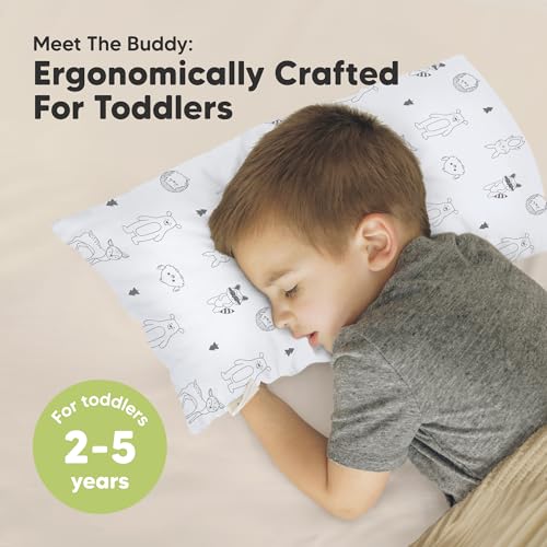 Toddler Pillow with Pillowcase