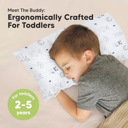 Toddler Pillow with Pillowcase