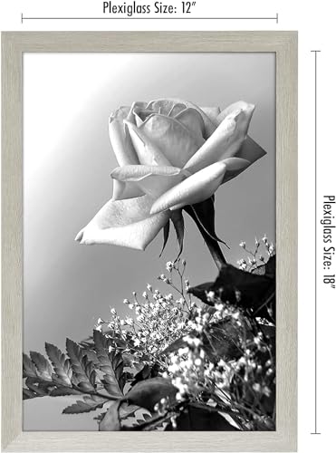 12x18 Poster Frame