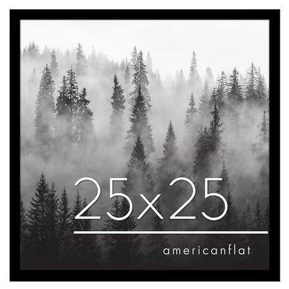 25x25 Poster Frame