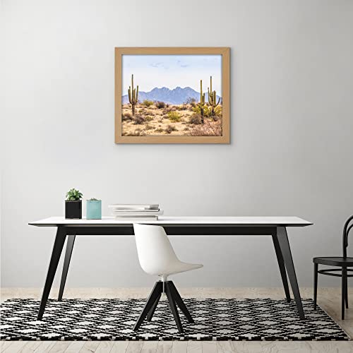 16x20 Poster Frame
