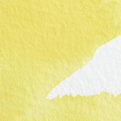Professional Watercolor
