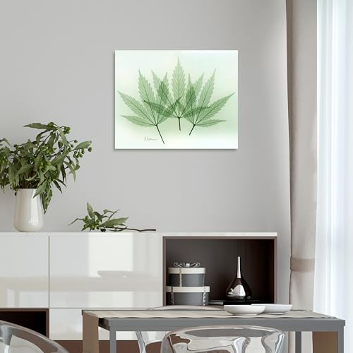 Frameless Free Floating Tempered Glass Panel Graphic Wall Art Ready to Hang