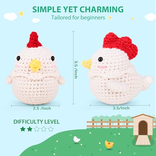 Crochet Kit for Beginners