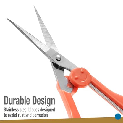 High Precision Detail Scissors Set (2 Count)