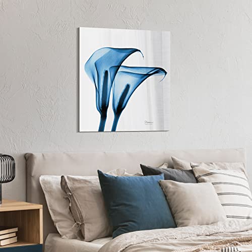 Frameless Free Floating Tempered Glass Panel Graphic Wall Art Ready to Hang (2 Count)