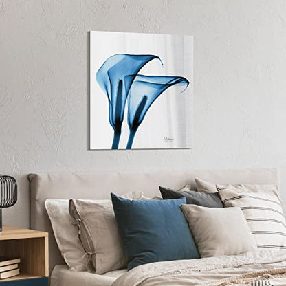Frameless Free Floating Tempered Glass Panel Graphic Wall Art Ready to Hang (2 Count)