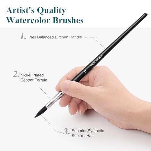 Watercolor Brushes Professional (9 Count)