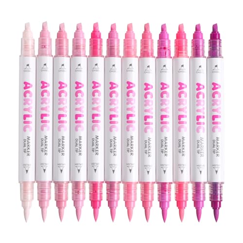 12 Colors Dual Tip Acrylic Paint Markers (12 Count)