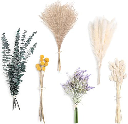 Natural Dried Pampas Eucalyptus Rabbit Tail Grass (66 Count)
