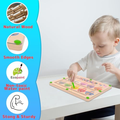 Magnetic Color & Number Maze