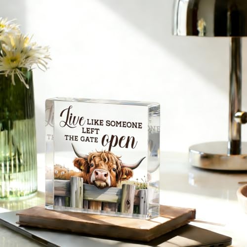 Cute Cow Decorative Signs