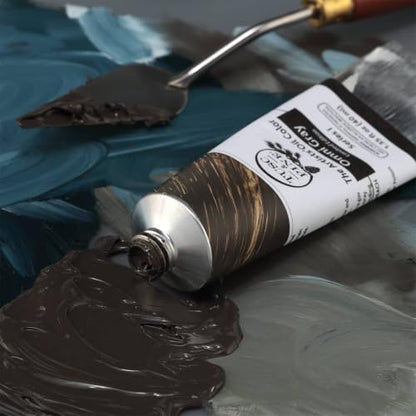 Artist Oil Paint