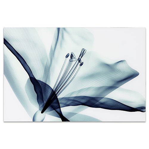 TMP-EAD4157-3248 Amaryllis Frameless Tempered Glass Blue Flower Panel Graphic Wall Art, 48" x 32" x 0.2"