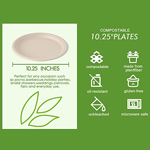 500 Pack Compostable Bagasse Paper Plates 10.25 inch (500 Count)