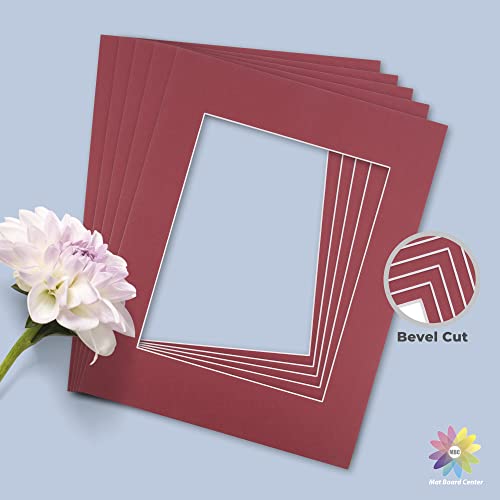Mat Board Center 10 Pack 11x14 Photo Mats for 8x10 Picture (10 Count)