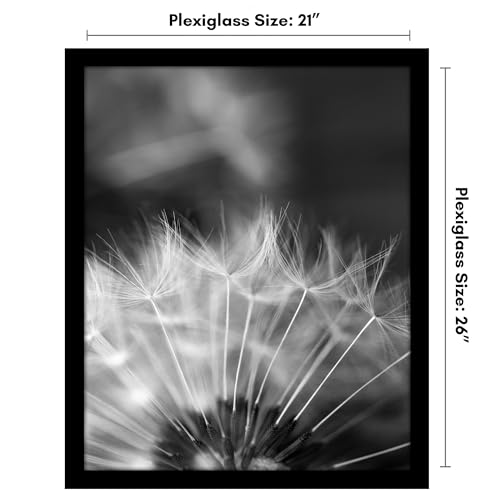 21x26 Poster Frame
