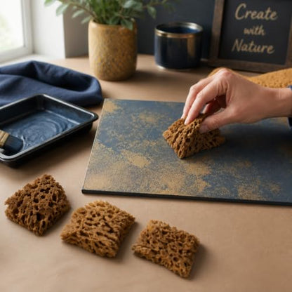 Natural Sea Sponges 10pk for Artists (10 Count)