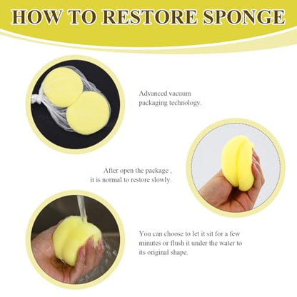 12 Pcs Pottery Sponges (25 Count)