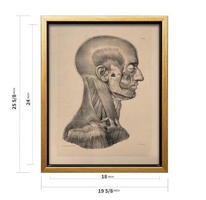 Vintage Science Canvas