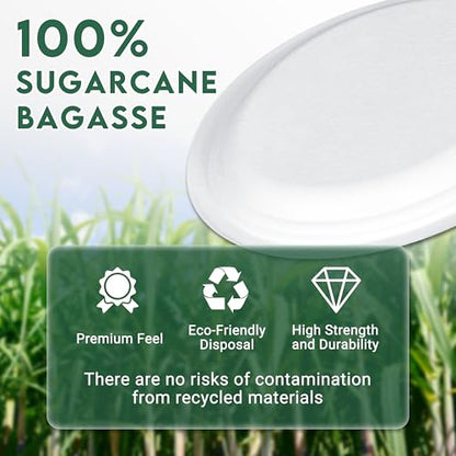 100% Compostable Oval Paper Plates 12 inch Bulk 100 Count