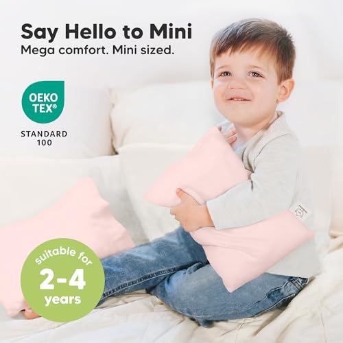 Mini Toddler Pillow with Pillowcase