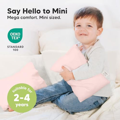 Mini Toddler Pillow with Pillowcase