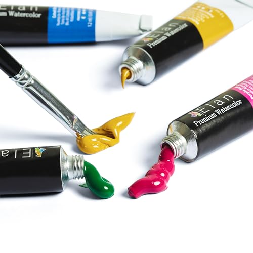 Professional Watercolor Paint Set (9.7 Fl Oz)