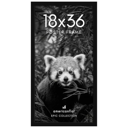 18x36 Poster Frame