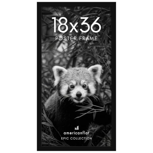 18x36 Poster Frame