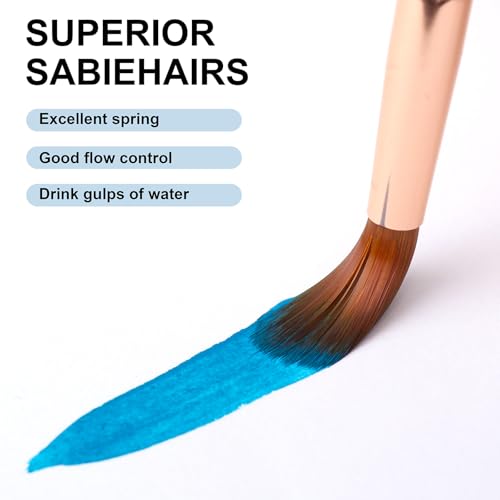 Paint Brush Set 6 Different Shapes for Watercolor Rock Face Painting Brush (6 Count)