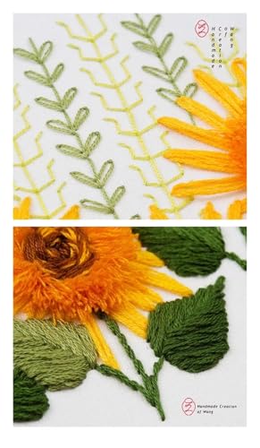 Embroidery Kits for Adults Full Range of Starter Including Instructions Stamped Cloth with Pattern Hoop Color Threads and Tools Punch Needle Kit